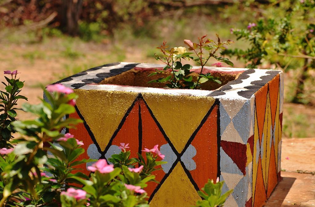 Silonque Bush Estate And Spa Phalaborwa Buitenkant foto