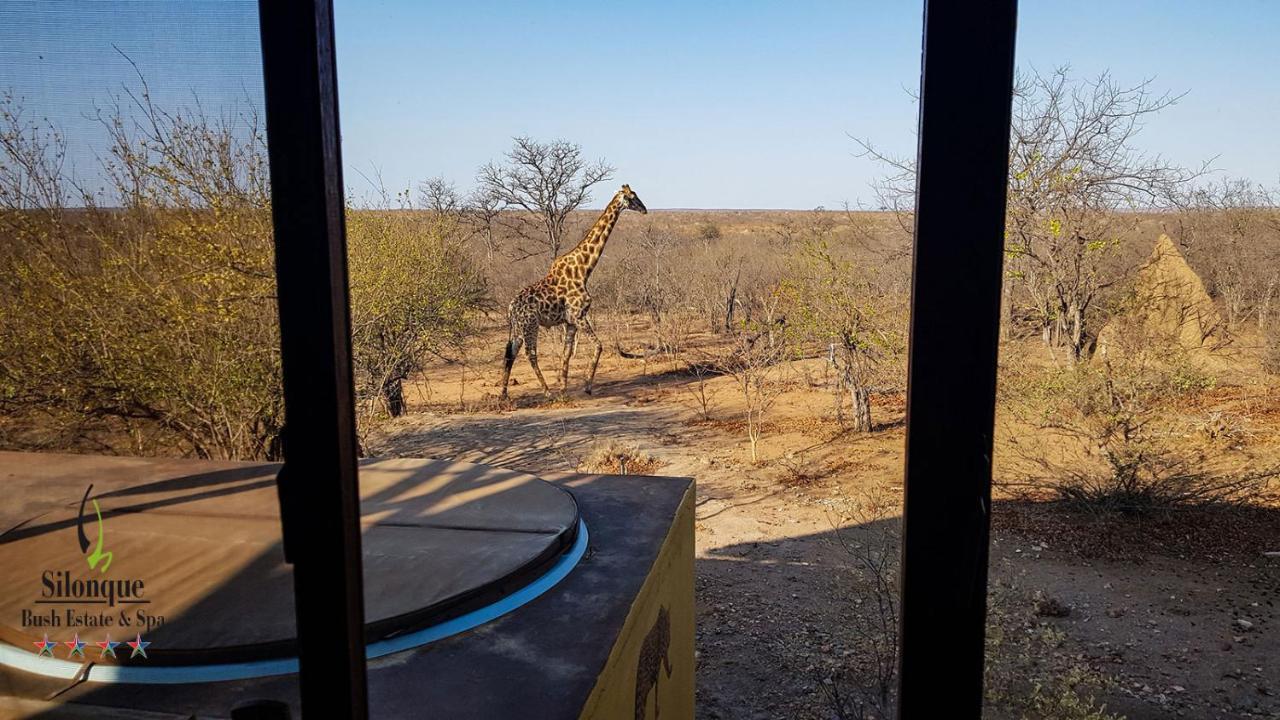 Silonque Bush Estate And Spa Phalaborwa Buitenkant foto